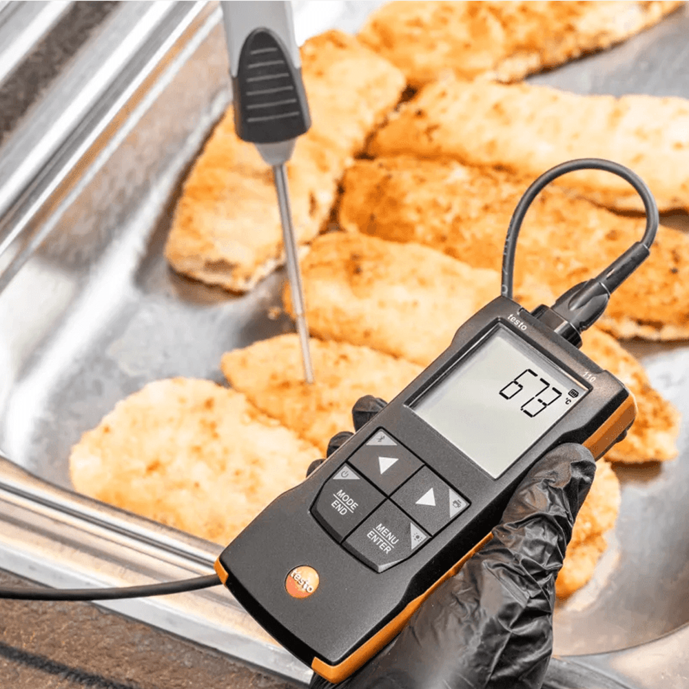 testo 110 - NTC and Pt100 temperature measuring instrument with App-6